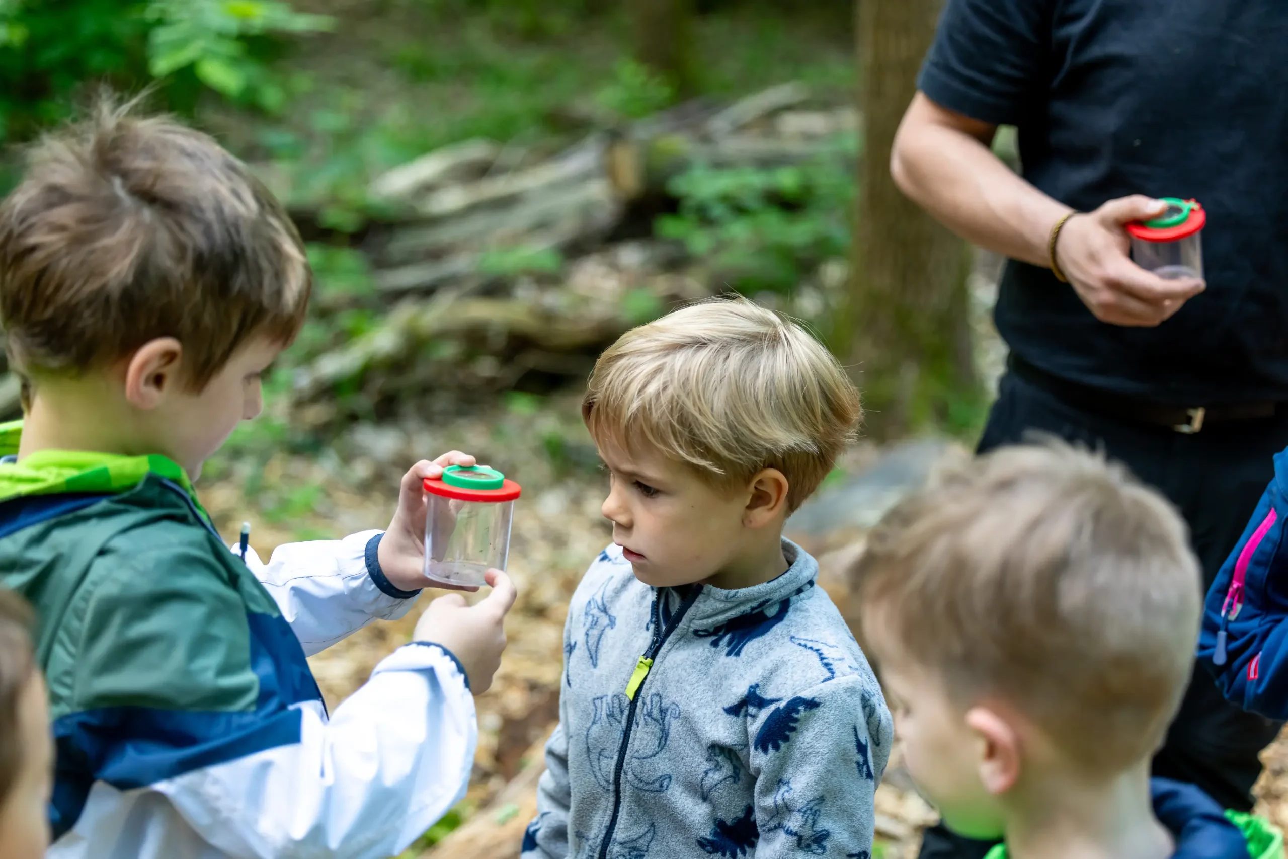 Ein Kind erklärt einem anderen Kind etwas im Wald