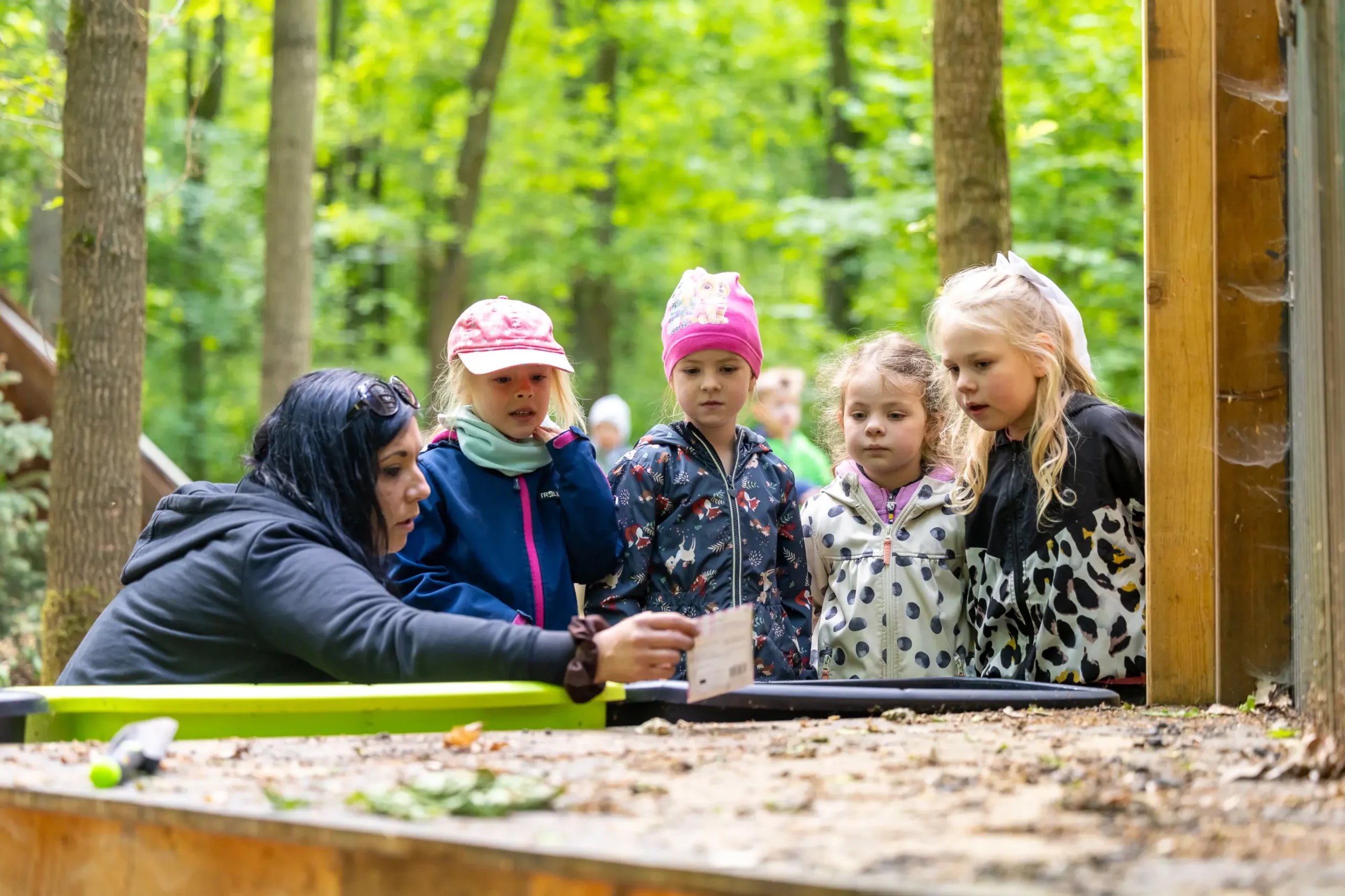 Kinder bekommen im Wald etwas erklärt